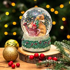 Fox and Robin with Watering Can Large Musical Snow Globe Decoration