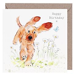 Running Cocker Spaniel Square Birthday Card