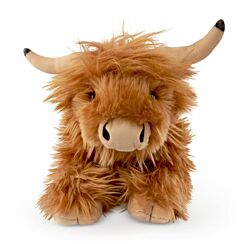 Lying Highland Cow