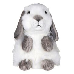 Lop Eared Rabbit Grey