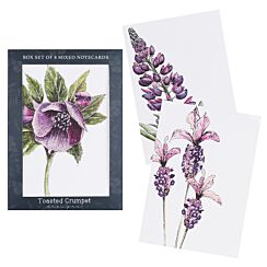 The Mulberry Collection Notecards Mixed Set of 8