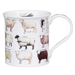 Animal Breeds Sheep Bute Shape Mug