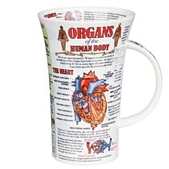 Organs of the Human Body Glencoe Shape Mug