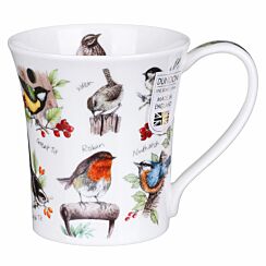 Birdlife Robin Jura Shape Mug