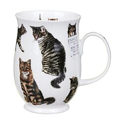 Cats Tabby Suffolk Shape Mug