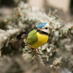 Assorted Blue Tit On Clip Decoration