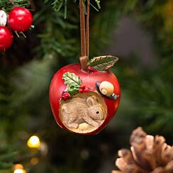 Assorted Apple With Mouse Resin Tree Decoration