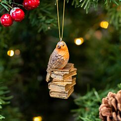 Assorted Robin/Blue Tit On Books Resin Tree Decoration