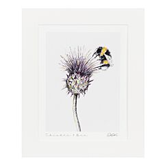 ‘Thistle & Bee’ 10” x 12” Fine Art Print