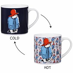 Heat Change Boxed Mug