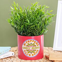 Sergeant Pepper 10cm Plant Pot