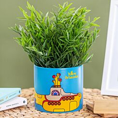 Yellow Submarine 10cm Plant Pot