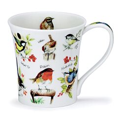 Birdlife Robin Jura Shape Mug