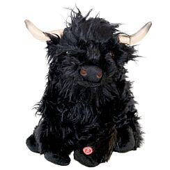 Black Highland Cow With Sound