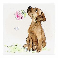 Puppy with Rose Fine China Coaster