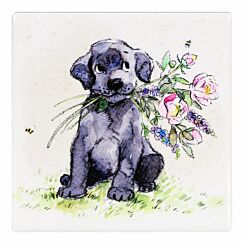 Black Lab with Bouquet Fine China Coaster