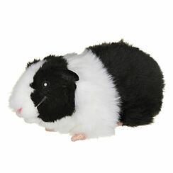 Black & White Guinea Pig with Sound