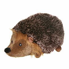 Medium Hedgehog