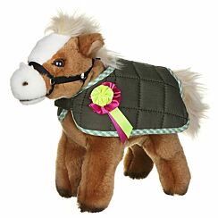Horse with Jacket