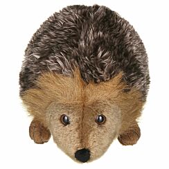 Large Hedgehog