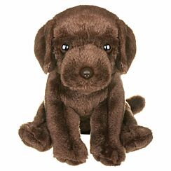 Chocolate Labrador Puppy Dog