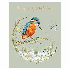 ‘Pond Dipping’ Kingfisher Birthday Card