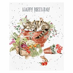 ‘Purrrfect Birthday’ Cat Birthday Card