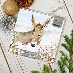 Donkey and Robin Pack Of 6 Christmas Cards Charity Pack