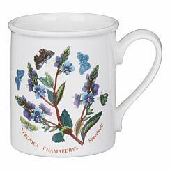 Speedwell Breakfast Mug