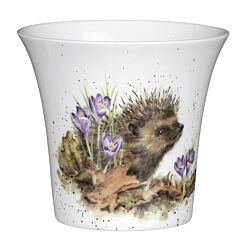 Hedgehog Flower and Herb Pot