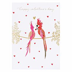 Pink Parrots Valentine’s Day Card