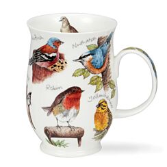 Birdlife Robin Suffolk Shape Mug