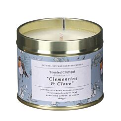 ‘Clementine & Clove’ Robin & Eucalyptus Christmas Tin Candle