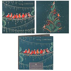 Robins Set of 10 Christmas Cards