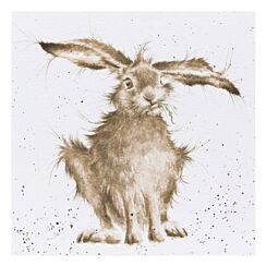 'Hare-Brained' Hare Greetings Card