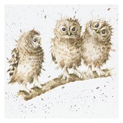 ‘You First’ Owl Greetings Card