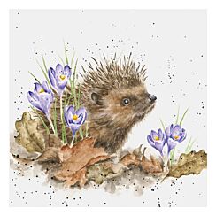 ‘New Beginnings’ Hedgehog Greetings Card