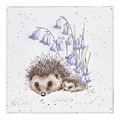 ‘Prickle My Fancy’ Hedgehog Small Canvas