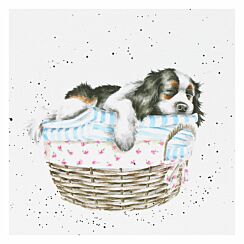 ‘Wash, Dry, Fold, Repeat’ Dog Greetings Card