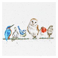 ‘The Variety Of Life’ Birds Greetings Card