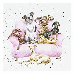‘Movie Night’ Dogs Greetings Card