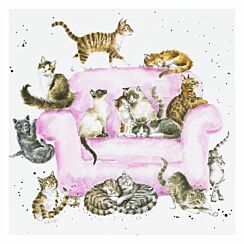 ‘Cattitude’ Cats Greetings Card