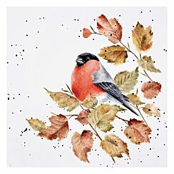 ‘Bold and Beautiful’ Bullfinch Greetings Card