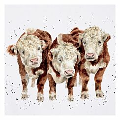 ‘Paddy, Percy and Pedro’ Cow Greetings Card