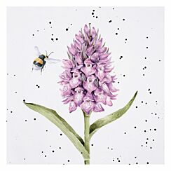 ‘Marsh Orchid’ Bee Greetings Card