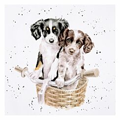 ‘Paws And Pedals’ Dogs Greetings Card