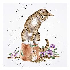 ‘Hide And Squeak’ Cat Greetings Card