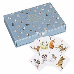 Illustrated Playing Cards Set