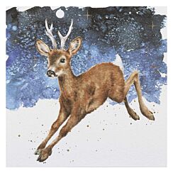 ‘Dash Away’ Reindeer Christmas Card