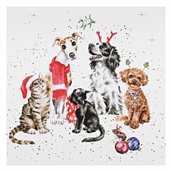 ‘The Office Party’ Cats & Dogs Christmas Card